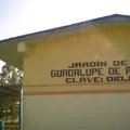 Guadalupe de Alba Perez