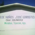 Jose Gorostiza