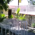 J. Refugio Nieto Bermudez