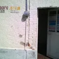 Preescolar Comunitario