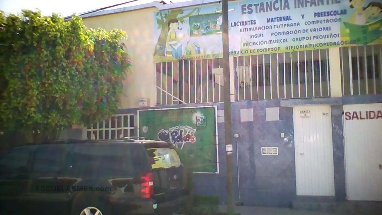 C.a.i. Babybees Norte Mt Centro Educativo Entrada