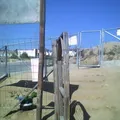 El Niño Artillero