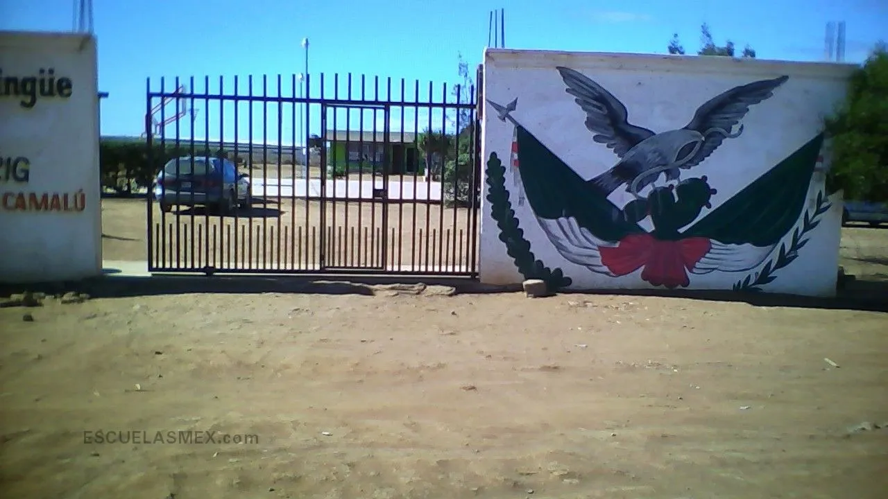 Patria Entrada