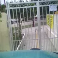 La Guelaguetza