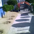 Plan de San Luis