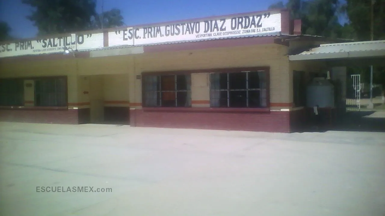 Saltillo Entrada