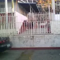 Melchor Ocampo