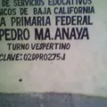 General Pedro Ma Anaya