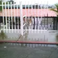 Club de Leones Num. 2