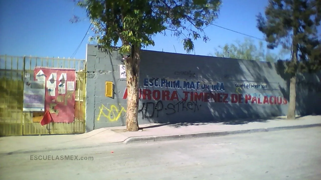 Aurora Jimenez de Palacios Entrada