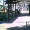 Mariano Sanchez Num. 9