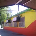 Juan Amos Comenio