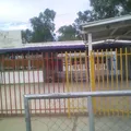 Ing. Carlos Rubio Parra