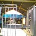 Marbella Aguilar Peralta