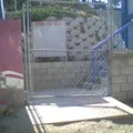Pioneros de Tijuana