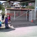 Ulises Criollo