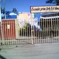 Amor y Patria