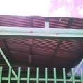 Hector Teran Teran