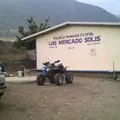 Luis Mercado Solis
