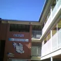 Colegio Nacion Independiente, A.c. Num. 156