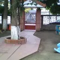 Senda