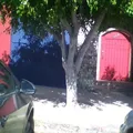 D Infante