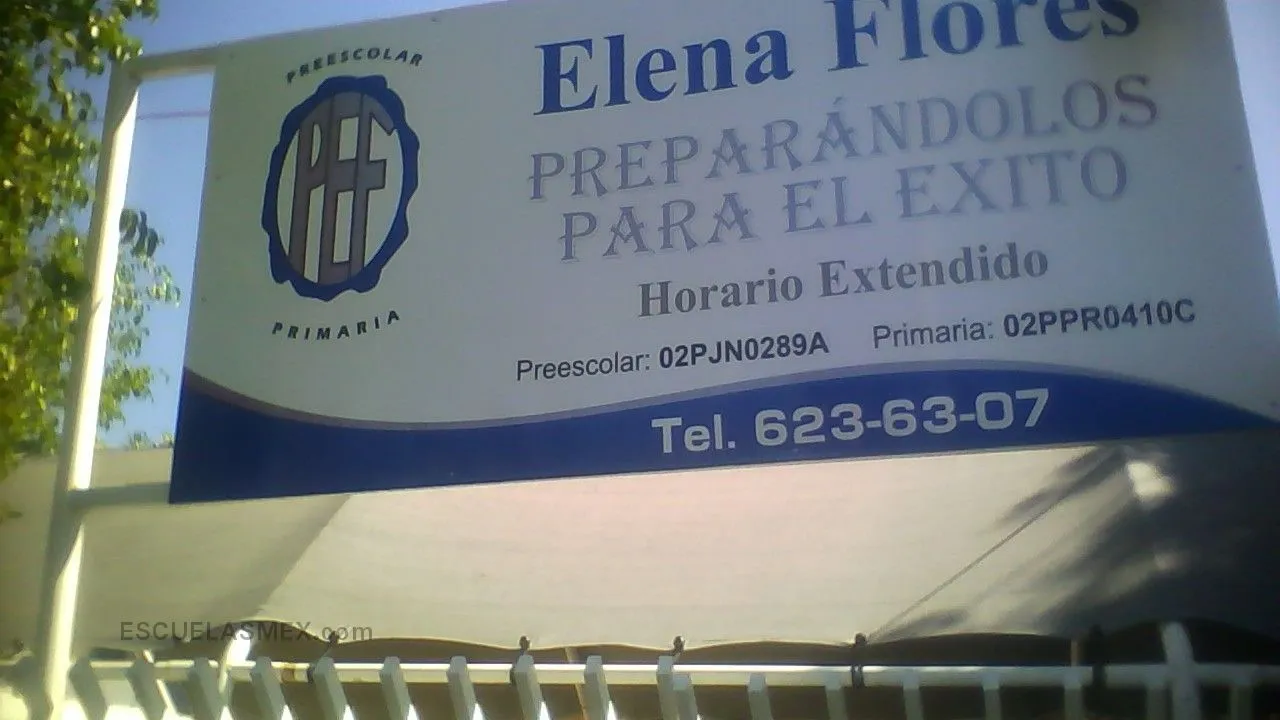 Profa. Elena Flores Entrada