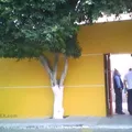 Reina Isabel