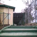 Juan Bosco