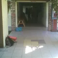 Colegio Internacional Bilingue