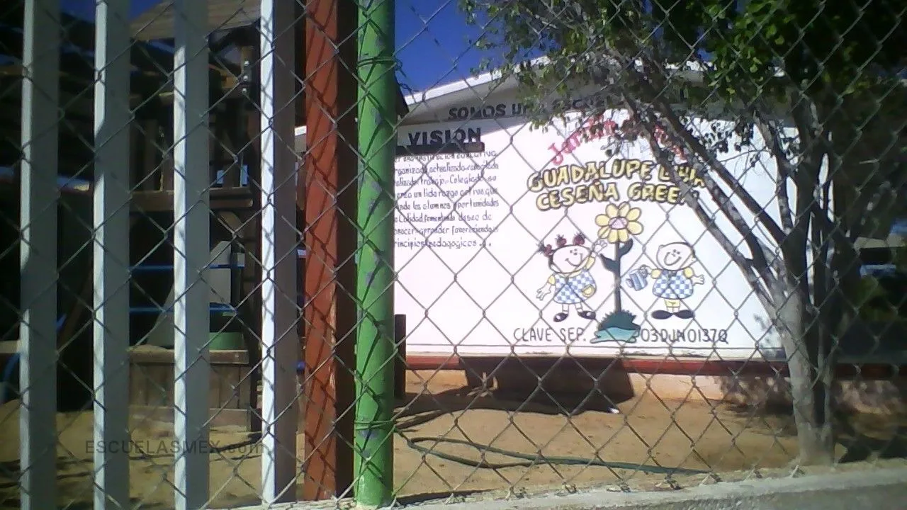 Guadalupe Libia Ceseña Green Entrada
