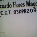 Ricardo Flores Magon