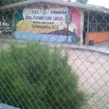 General Plutarco Elias Calles