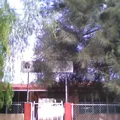 Gertrudis Bocanegra