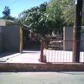 Mauricio Castro Cota