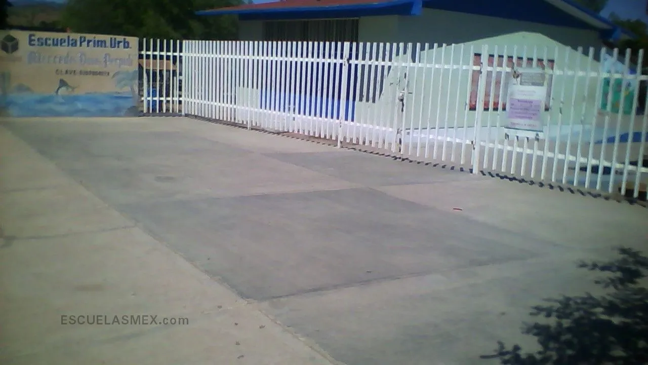 Mercedes Davis Perpuli Entrada