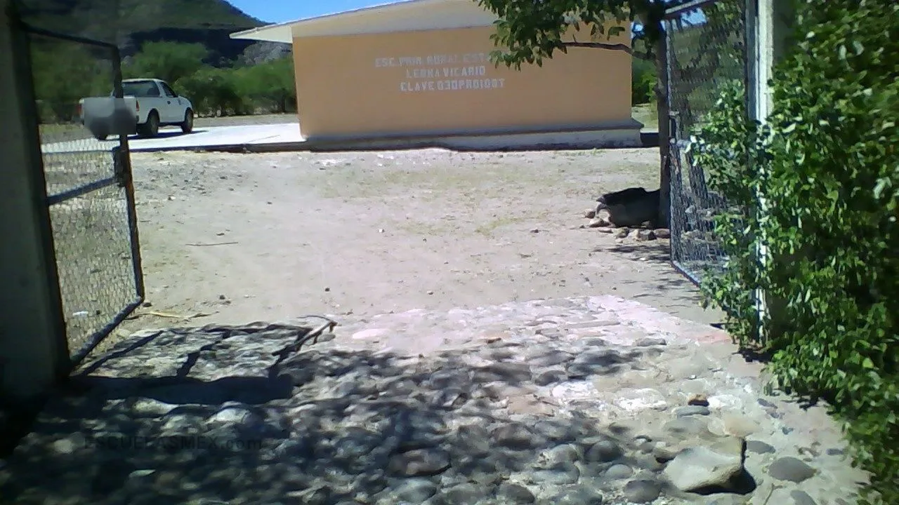 Curso Comunitario de Educacion Primaria Entrada