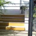 Centro Educativo Integral Juan Bosco