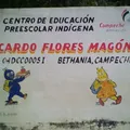 Ricardo Flores Magon