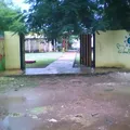 Laureles de Paz