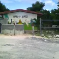 Aura Ema Pacheco Pinzon