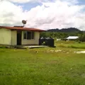 Ricardo Flores Magon