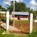 Juan Escutia