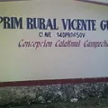 Vicente Guerrero
