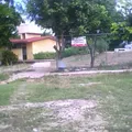 Telesecundaria Num 77