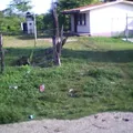 Secundaria Comunitaria