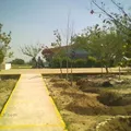 Niños Heroes