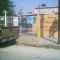 Sara Muzquiz Castillo