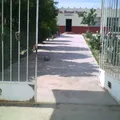 Manuel Negrete
