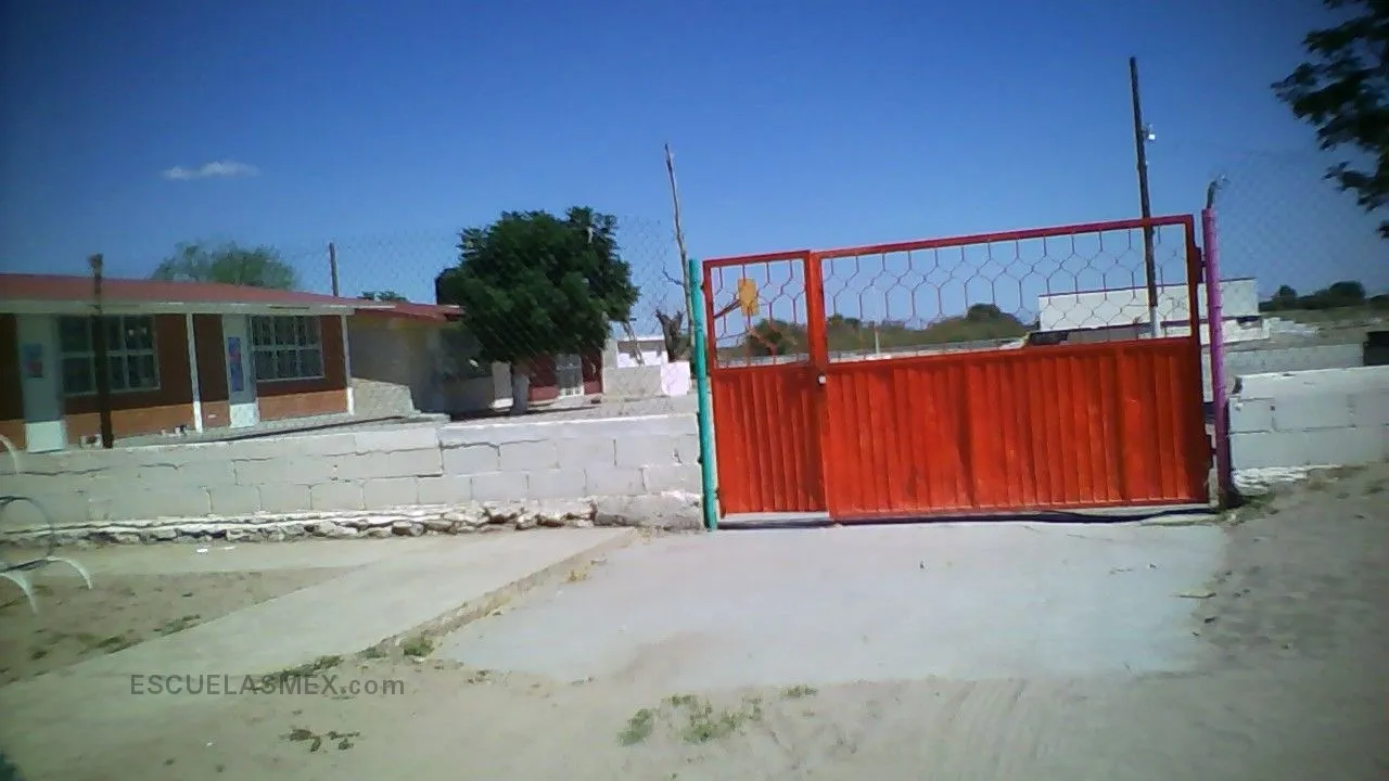 Pipila Entrada